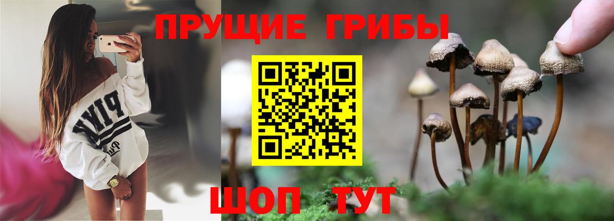 Галлюциногенные грибы прущие грибы  закладка  Щёлково  Вход с VPN 